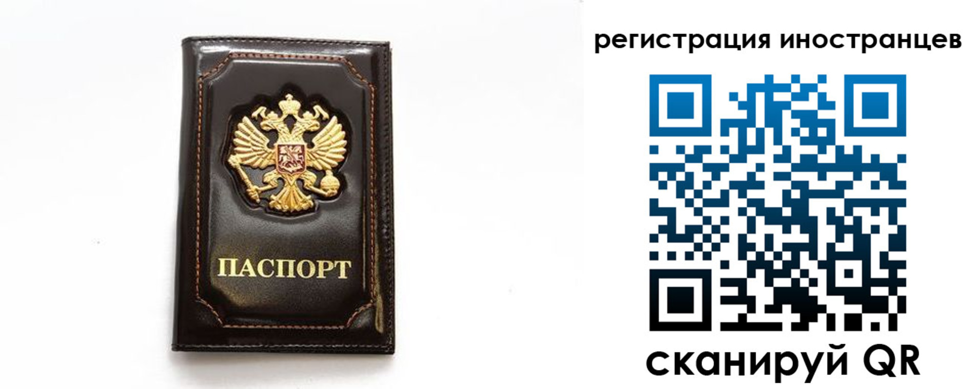 прописка в Вологде